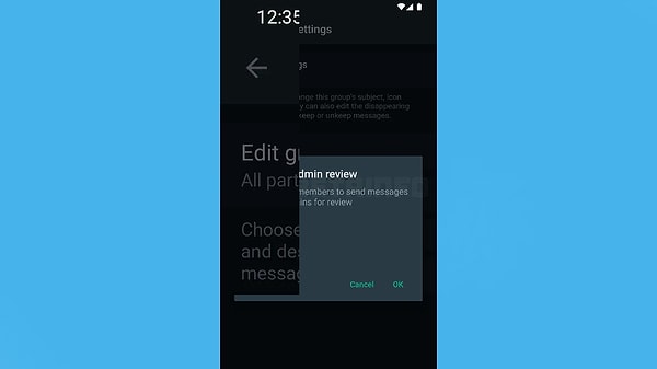 Yeni sürümden olduğu iddia edilen bir görüntüye göre, geliştirilen eklenti grupta bulunan ve uygunsuz görünen herhangi bir gönderinin üzerine tıklanarak yöneticilere sunulabilecek.