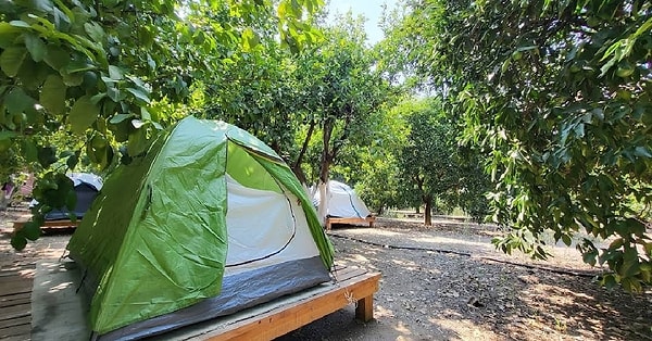 6. Hala’nın Yeri Kamp Alanı