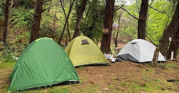 6. Troltunga Camping
