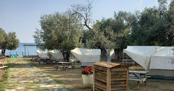 7. Kamp Olive