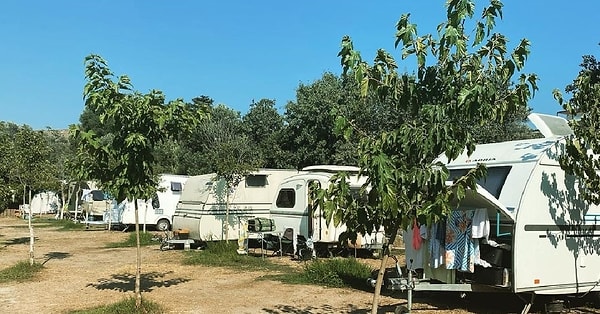 1. Bodrum Masalı Camping
