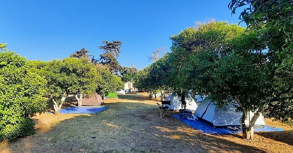 5. Ecofarm Camp & Bungalov