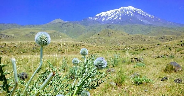 29. Ağrı Dağı Millî Parkı