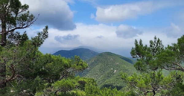 41. Kazdağı Millî Parkı