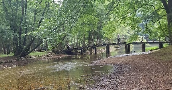 Vrelo Bosne