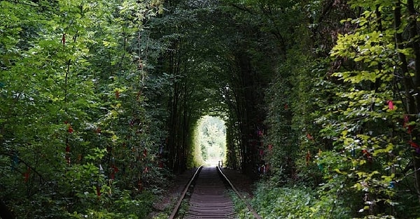 Tunnel of Love