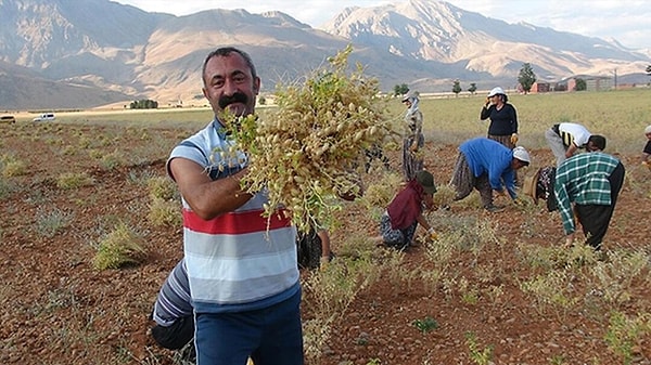 Sosyalist Meclisler Federasyonu (SMF), Tunceli Belediye Başkanı Fatih Mehmet Maçoğlu'nun bir kez daha Tunceli'den aday gösterilmeyeceğini doğruladı.