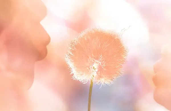 Pantone, 2024 yılının rengini 'Peach Fuzz' olarak lanse etti.