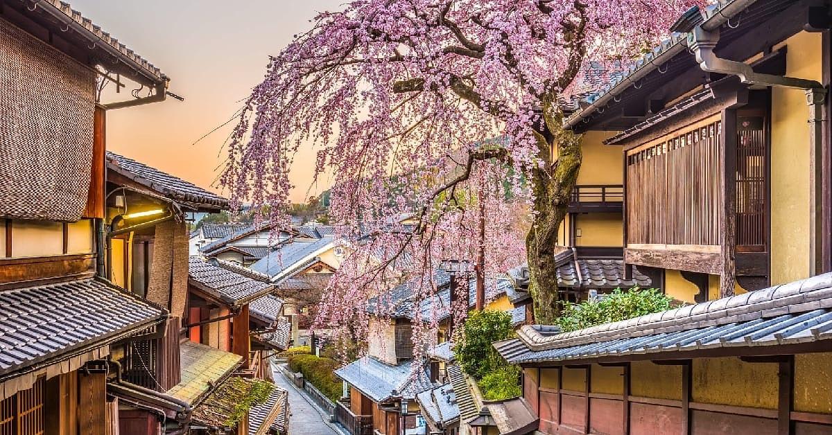 27. Bahar şehri - Kyoto