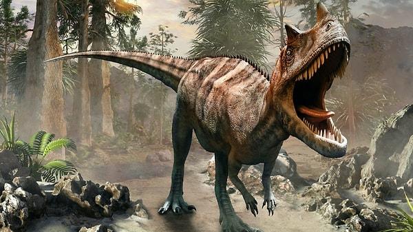 Dinozorların fosilleri bize yaşları, beslenme biçimleri ve ölüm nedenleri hakkında önemli bilgiler veriyor.