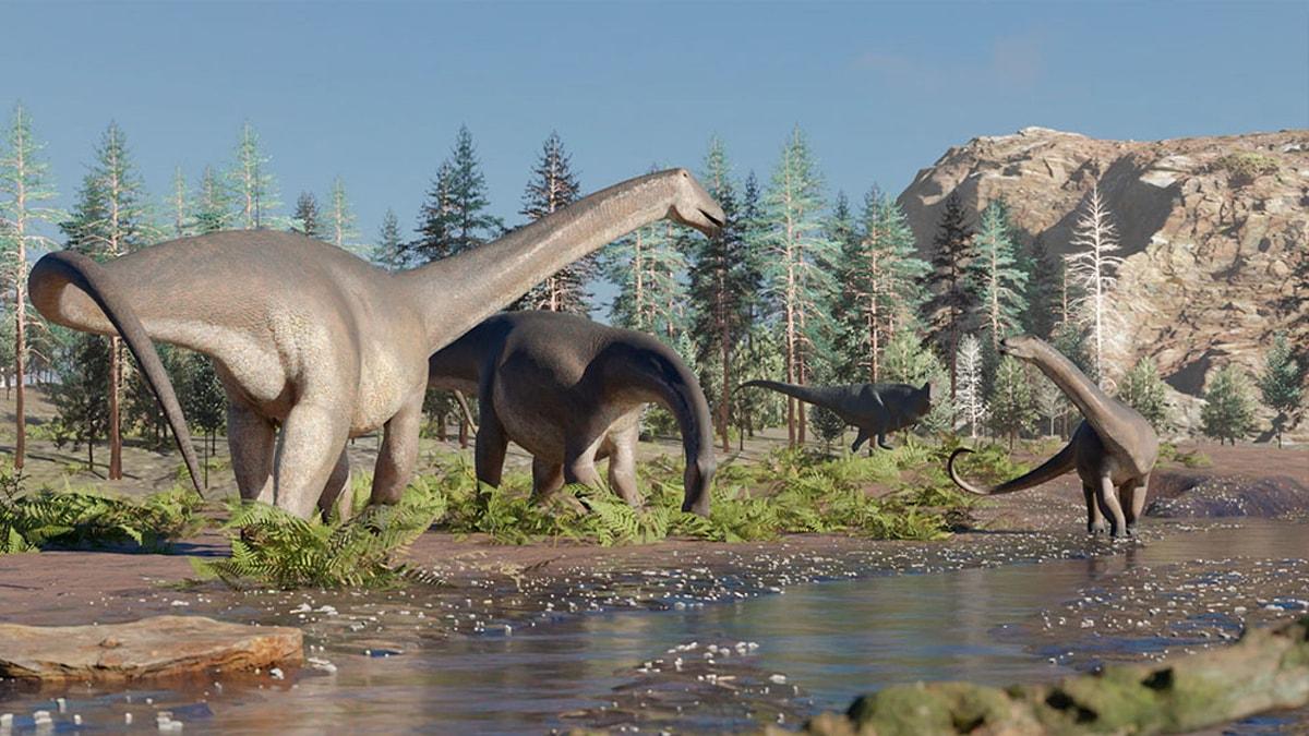 Araştırmacılar günümüzde büyüme halkaları sayesinde dinozorların yaşlarını tahmin edilebiliyor.