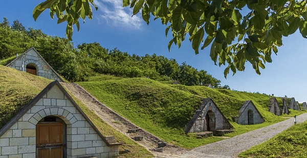 1. Tokaj Şarap Bölgesi - Macaristan