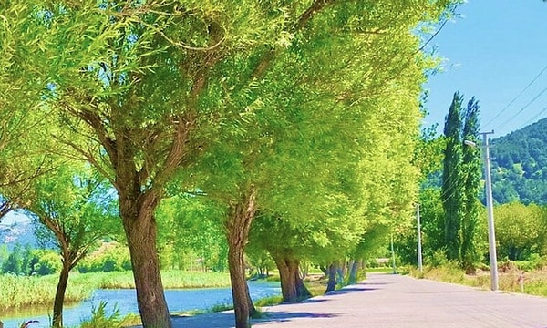 Gölcük köyünde huzur çok uzak değil...