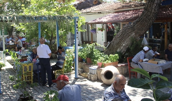 Zeytin ve üzümün lezzetli geçmişi...