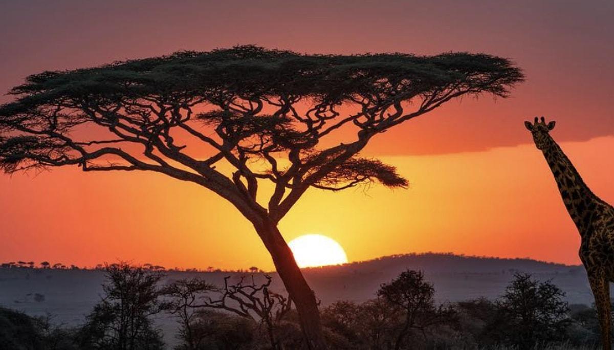 5. Serengeti, Tanzanya