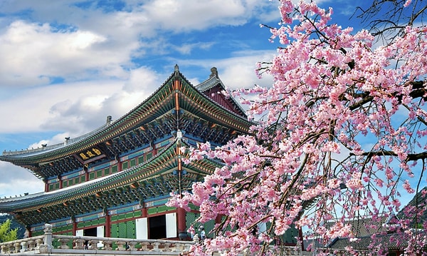 4.2 Asya’da yeşil pasaporta vize istemeyen ülkeler