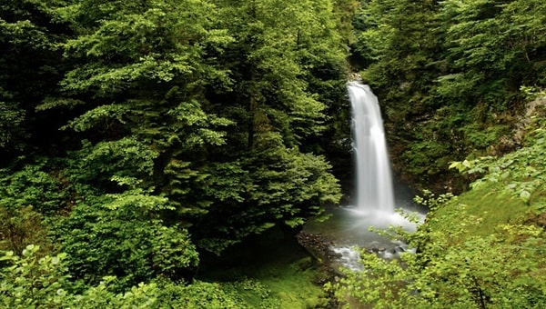 14. Palovit Şelalesi - Rize