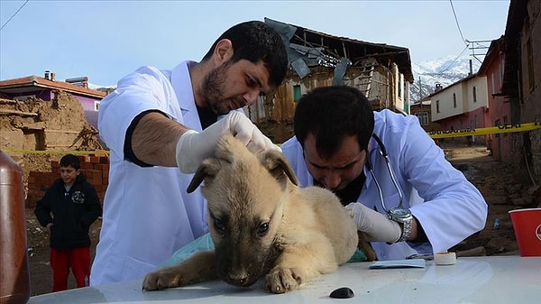 Teklifte yer alan bazı maddelerin ötanazi açık kapı bıraktığı vurgulanarak şöyle dendi: 👇
