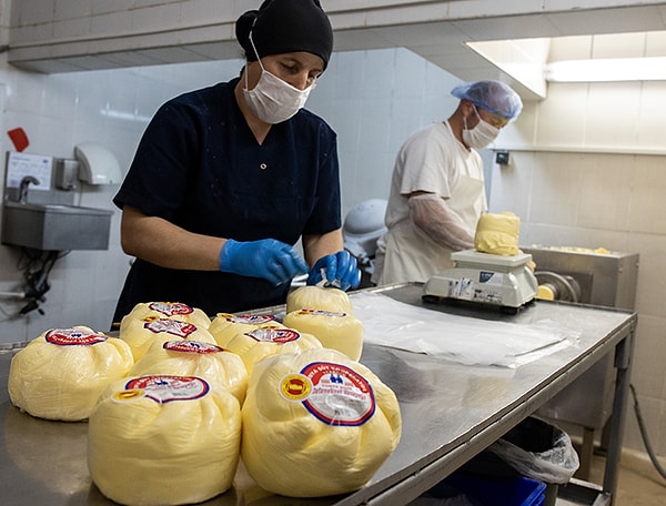 Bir zamanlar 40 ton süt işleme kapasitesine sahip olan kooperatif Türkiye geneline ürün satıyordu. Kooperatifin kapanışı, Tonya halkını ve bölgenin ekonomik yapısını da olumsuz yönde etkileyecek.