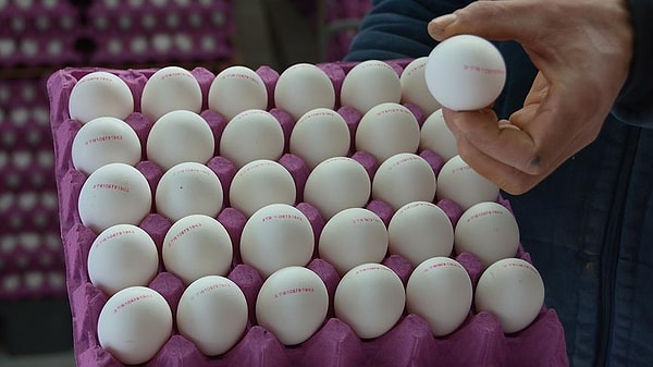 Sınıflandırma ve İşaretleme